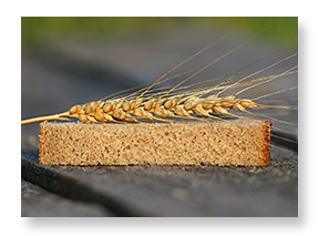 wheat-on-bread